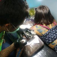 user8644073282407