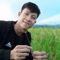 inphone22