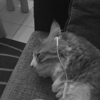 phiwiww