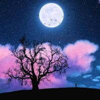 mood_night12