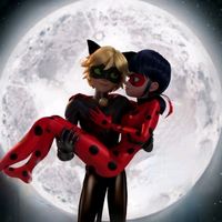 ladybug_and_motan_noor