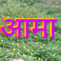 TikTok Account - https://p16-pu-ie.tiktokcdn-eu.com/tos-useast2a-avt-0068-giso/938d4d996bdd9f14428ddacf9c3ce95f~tplv-tiktokx-cropcenter:200:200.jpeg