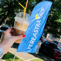 fereastraadfbraila1