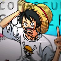 luffy2079z
