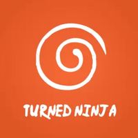 turnedninjavnart