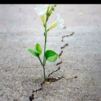 hfaar.alqabwr.6