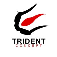 TikTok Account - tridentconcept
