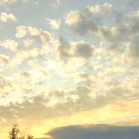 speedup.00o