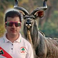 sajidaziz553