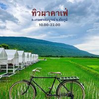 tiwpha_cafe0