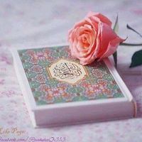 islamer_bani00