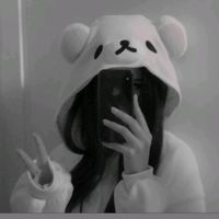 fp.roblox.12
