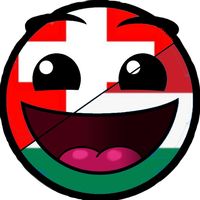 swiss.hungarian_mapper