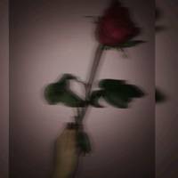 TikTok Account - https://p16-pu-ie.tiktokcdn-eu.com/tos-useast2a-avt-0068-giso/bf9ac0496b18bbf1ba736e2202554412~tplv-tiktokx-cropcenter-q:200:200:q70.jpg