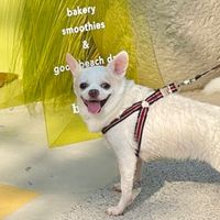 jeenjeentheseries