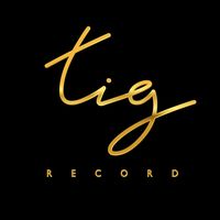 tigrecord_update