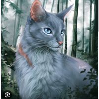 _blekitna_gwiazda_