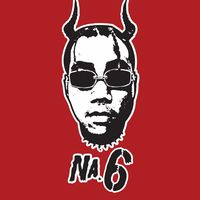 na.6custom