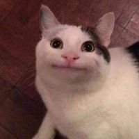 tae_kuyno1