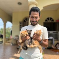 alifzhafri10