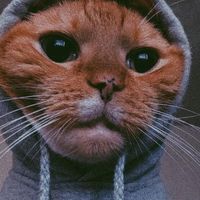 unknown_user._