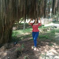 kylalporque