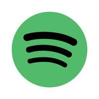 spotify.song1999