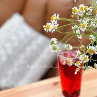 mottachtrachieu_