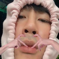 parkpppd