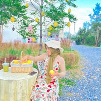 hawahalalfood2814