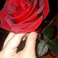 sahin747373