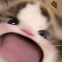 gggellla