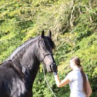 vava_2319