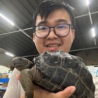 lovingfishhome
